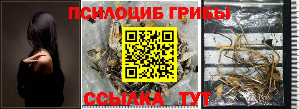 Галлюциногенные грибы Magic Shrooms Ишим