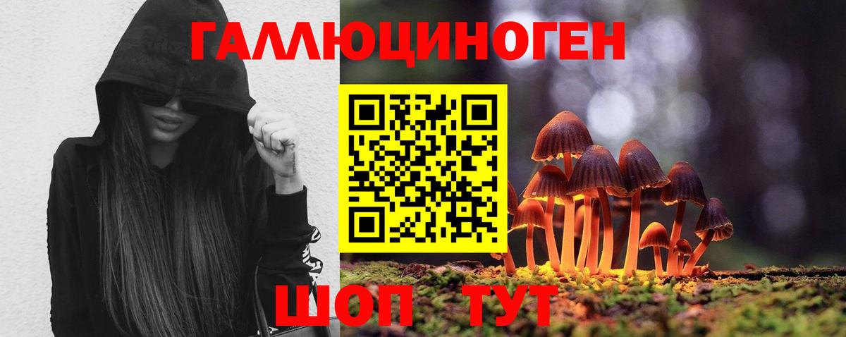 Псилоцибиновые грибы GOLDEN TEACHER  Вход с VPN  Ишим 